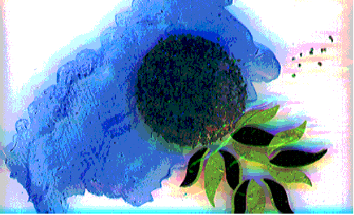 D13.GIF