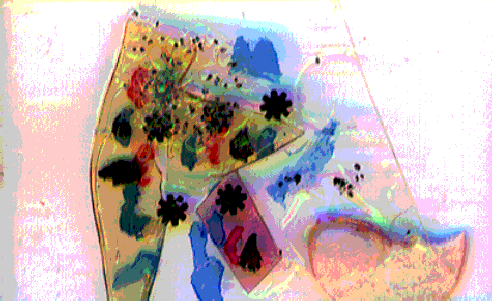 D18.GIF