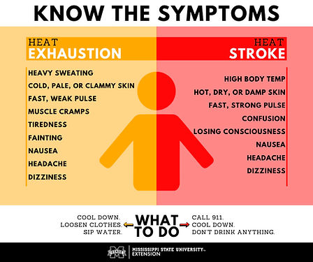 GRAPHIC HEAT ILLNESS copy.jpg