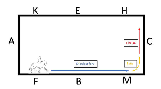 Dressage Exercise for Everyone