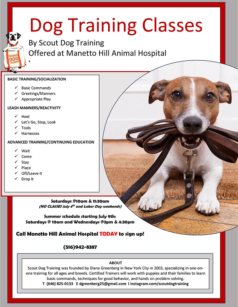 training poster.JPEG
