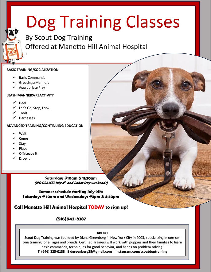 Puppy School Flyer 5-27-25.JPEG