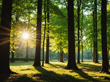 Natural Ways to Boost Your Vitamin D Levels