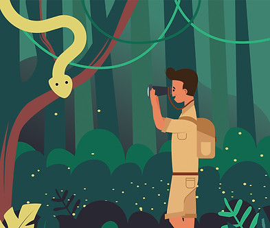 jungle explorer4.jpg