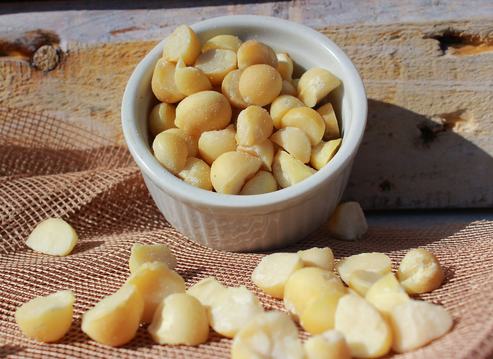 Thumbnail: Macadamias
