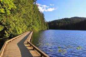 Sasamat Lake HIke Belcarra.jpeg