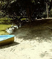 Captura de tela de 2019-08-03 15-34-05.p