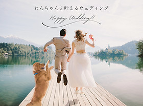 ウェディング・ペットシッター | ペットシッターおるすばんくらぶ