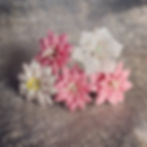 YGA_gallery