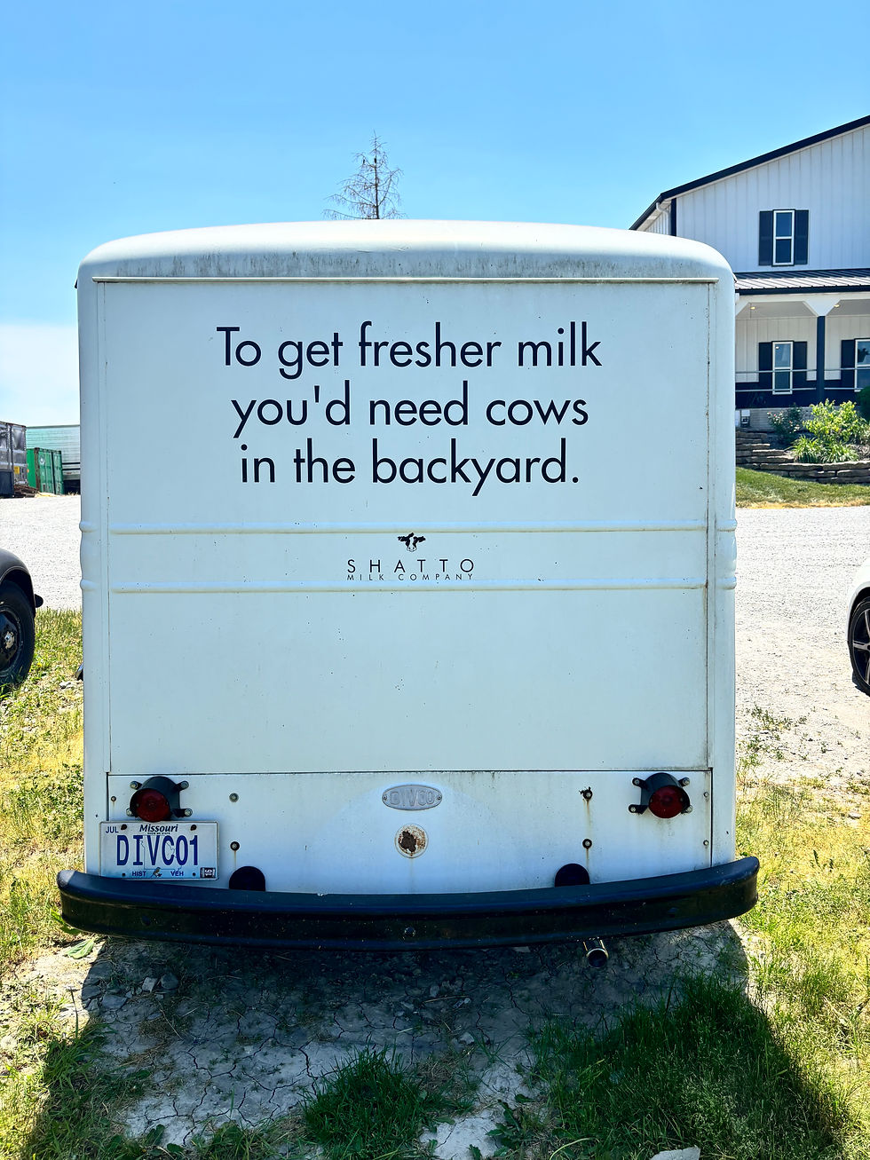The Road to Shatto
