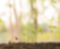 AdobeStock_350034172_edited.png