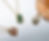 Wild & Free Pendant Necklace