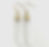 Selenite Gold Dipped Bar Earnings