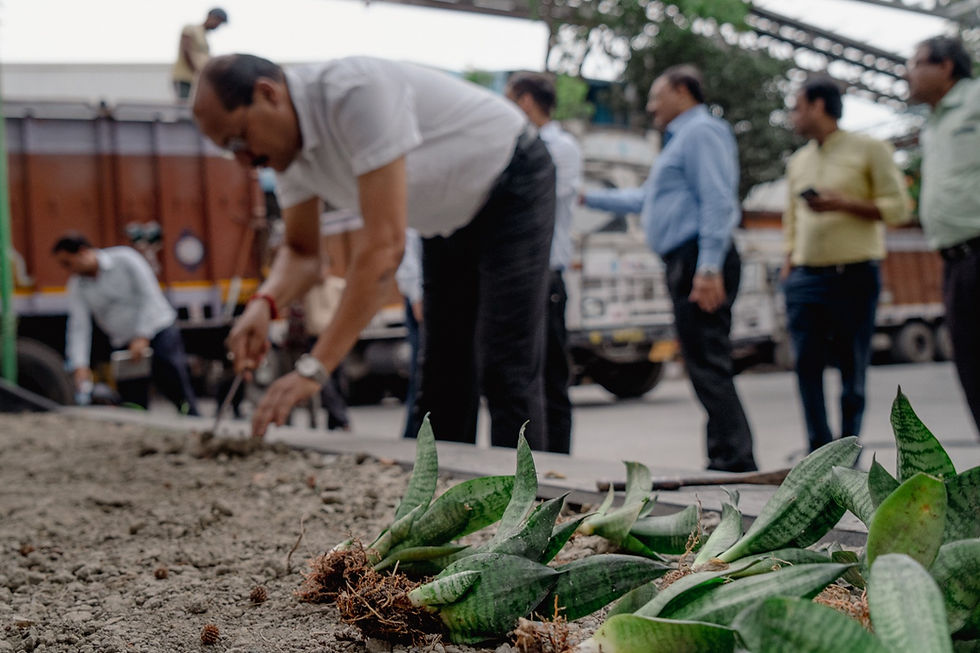 Planting Trees | Hulladek