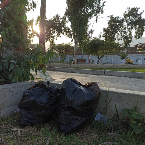 Vecinos se quejan por falta de limpieza y seguridad en áreas verdes