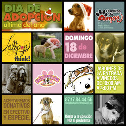 evento de adopcion 18 DICIEMBRE 2011