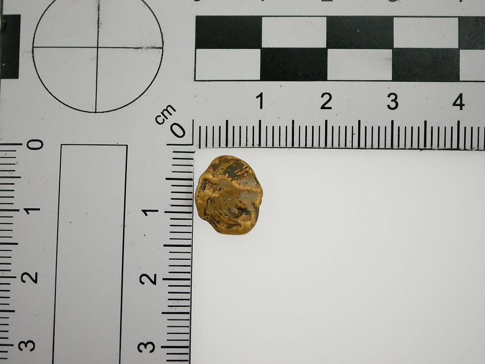 Miniaturbild: Goldnugget 065/1,83g