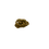 Miniaturbild: Goldnugget 101/0,49g
