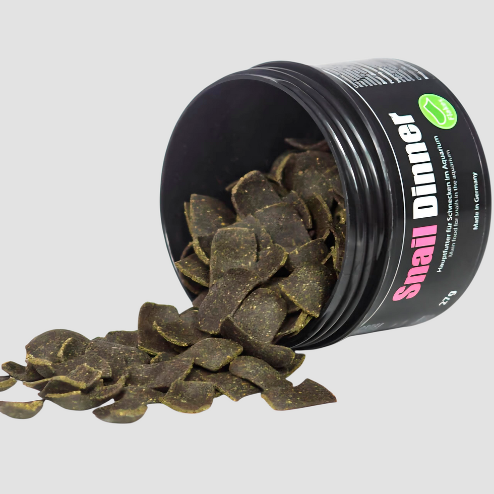 GlasGarten Snail Dinner