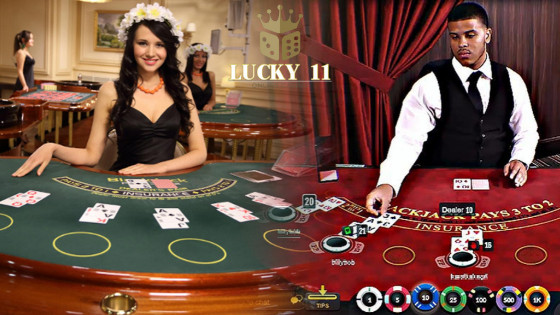 Live Casino Dealer