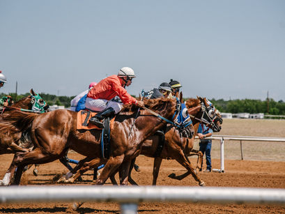 Lucky11|How To Play Online Horse Racing Betting Game?