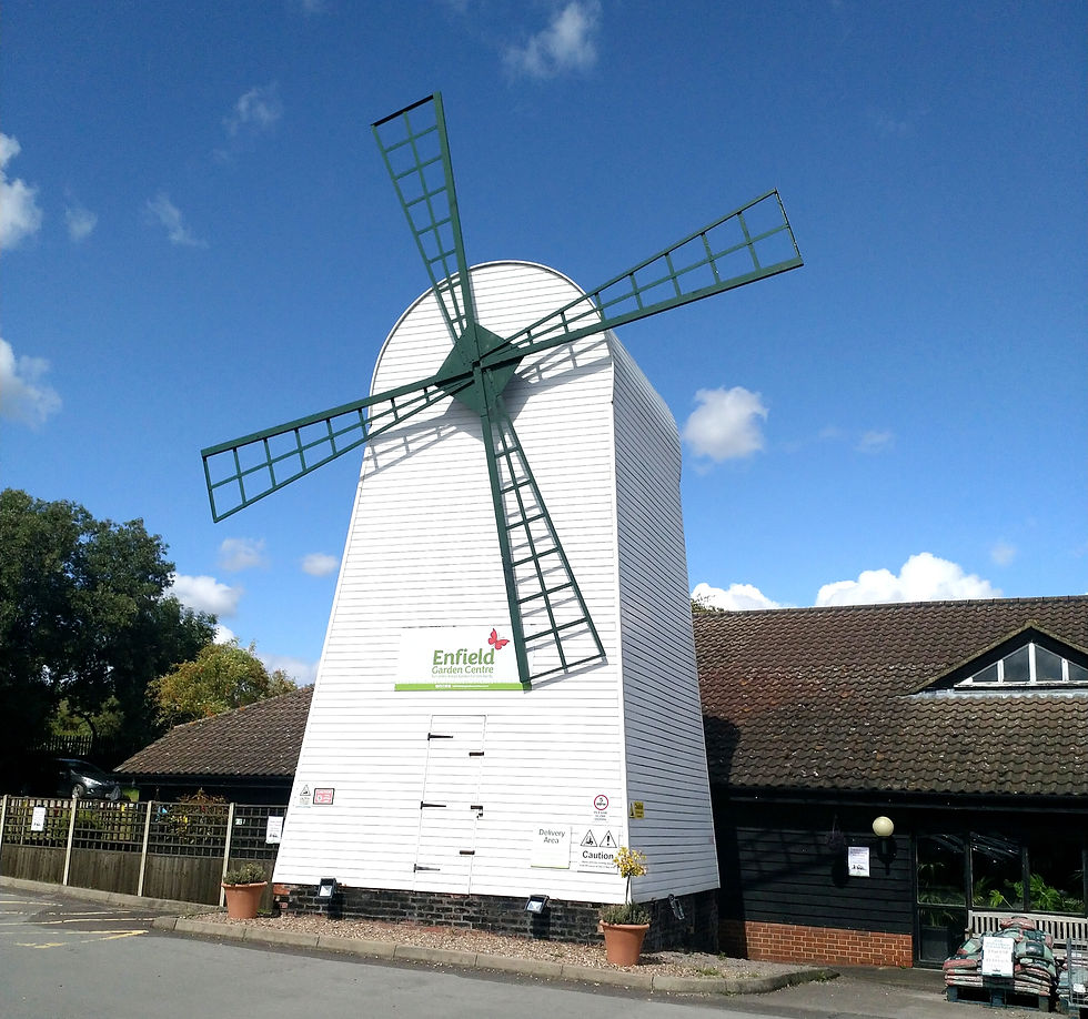 Enfield Garden Centre White Windmill