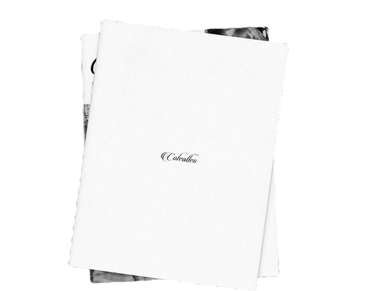 Zine Projects __ Photos, videos, logos,
