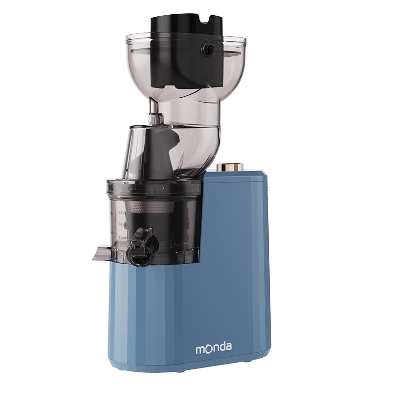 Presse-agrumes lent domestique, extracteur de jus de gros calibre, Machine de s�