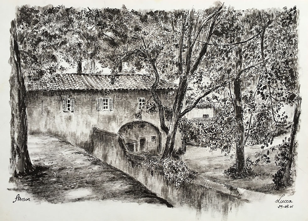 133_Remparts de Lucca_Italie