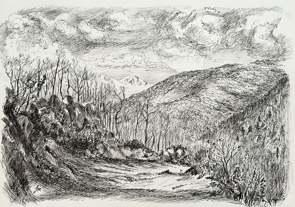 226_Au dessus de la Coume
