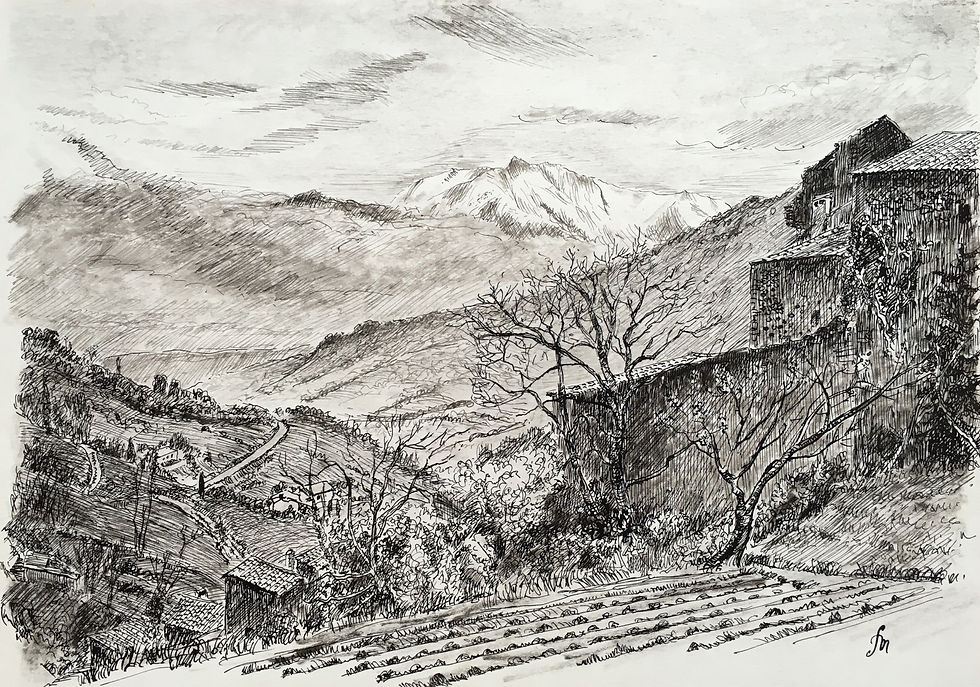 225_Le Canigou