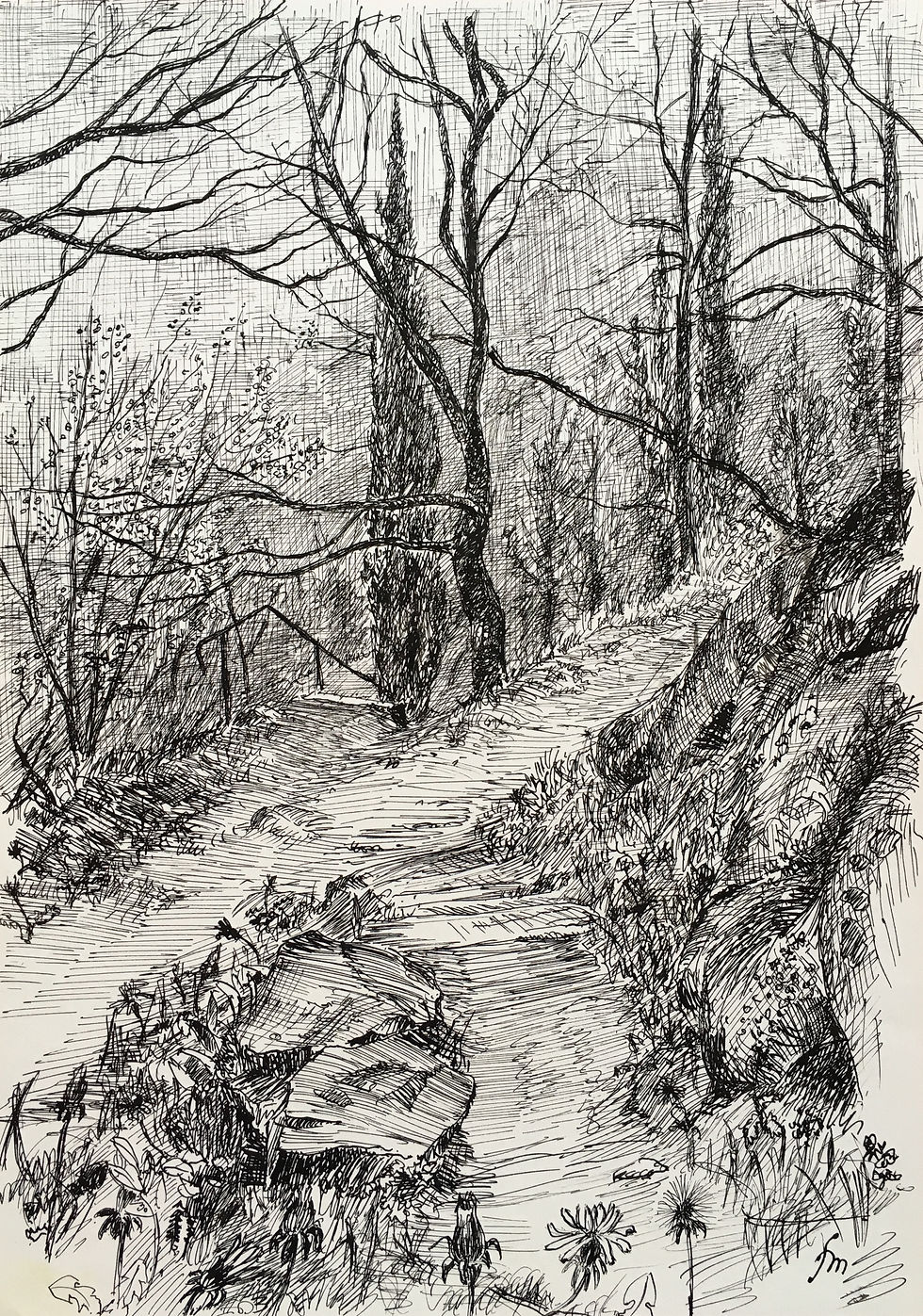227_Brouillard_à_la_Coume