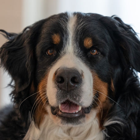 2021-12-19 12.36 maiacher 4736.jpg