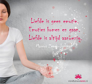 liefde is geen emotie mindfulnessleren.nl