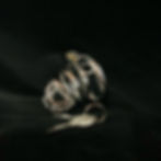 Thumbnail: Diamond Band (Medium) Stainless Steel Chastity Cage