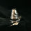 Thumbnail: Little Phallic Stainless Steel Chastity Cage