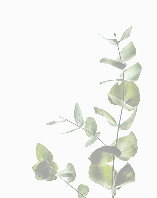 Minimal eucalyptus leaves_edited.jpg