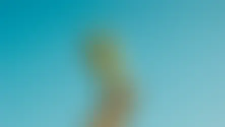 Психика: Ефектът на мотивацията в спортното представяне