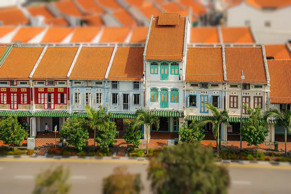 DSC05115-tilt_shift.webp