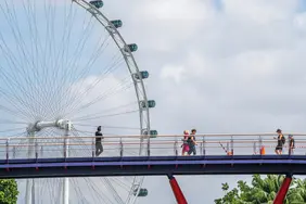 The Singapore Flyer view from the Gardens By The Bay. 