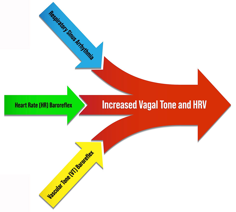 HRV sources