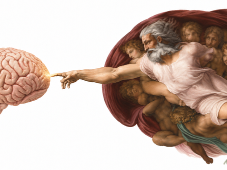 What Each Prefrontal Cortex Region Does, Which Network It Joins, and What Happens When It Fails