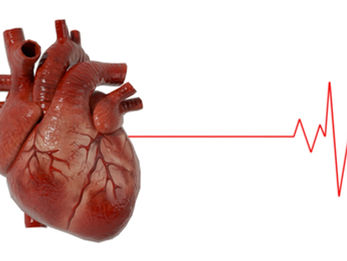 heart