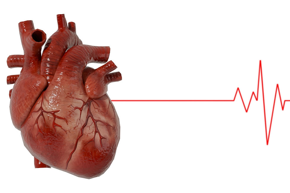 Heart