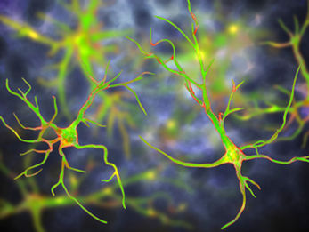 5-Min Science: Astrocytes Direct Neuromodulation