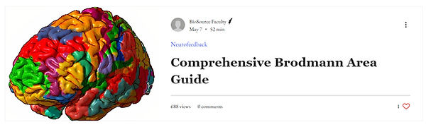 Comprehensive Brodmann Area Guide.jpg