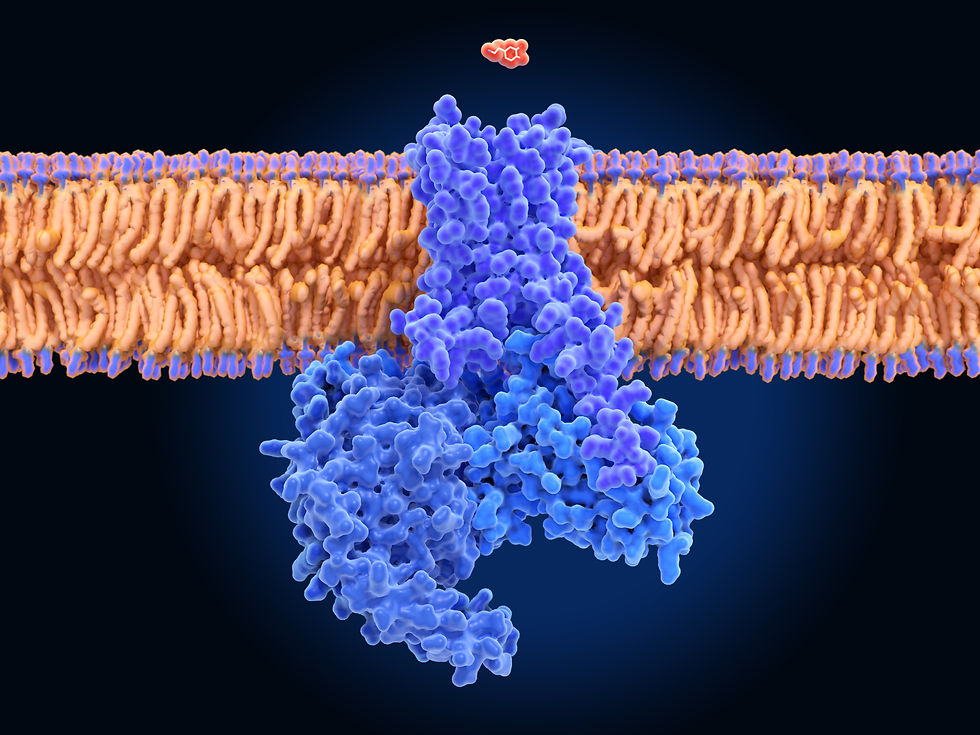 dopamine receptor