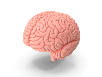 5-Second Science: Thalamic Gatekeeping in Consciousness
