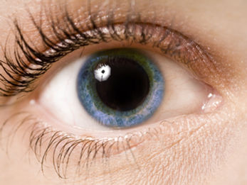 pupil