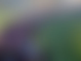 Summary of Neurofeedback Effect on Symptoms of Posttraumatic Stress Disorder